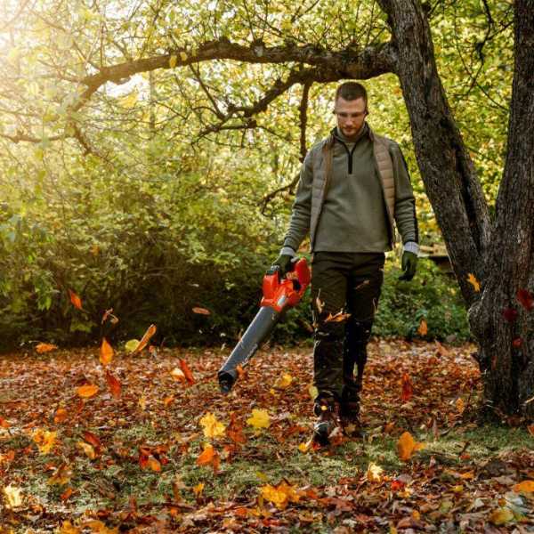 Consejos para mantener el jardín limpio durante el otoño Persona utilizando un soplador Husqvarna para recoger hojas caídas y mantener limpio el jardín durante el otoño